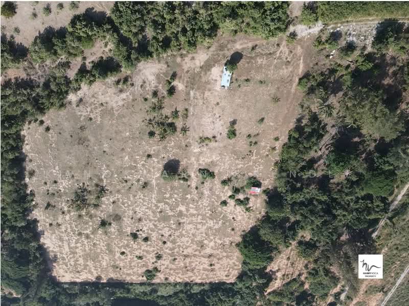 10 Rai Land for Sale in Khao Tao – Peaceful Location Near the Beach, Ideal for Investment or Holiday, Prachuap Khiri Khan