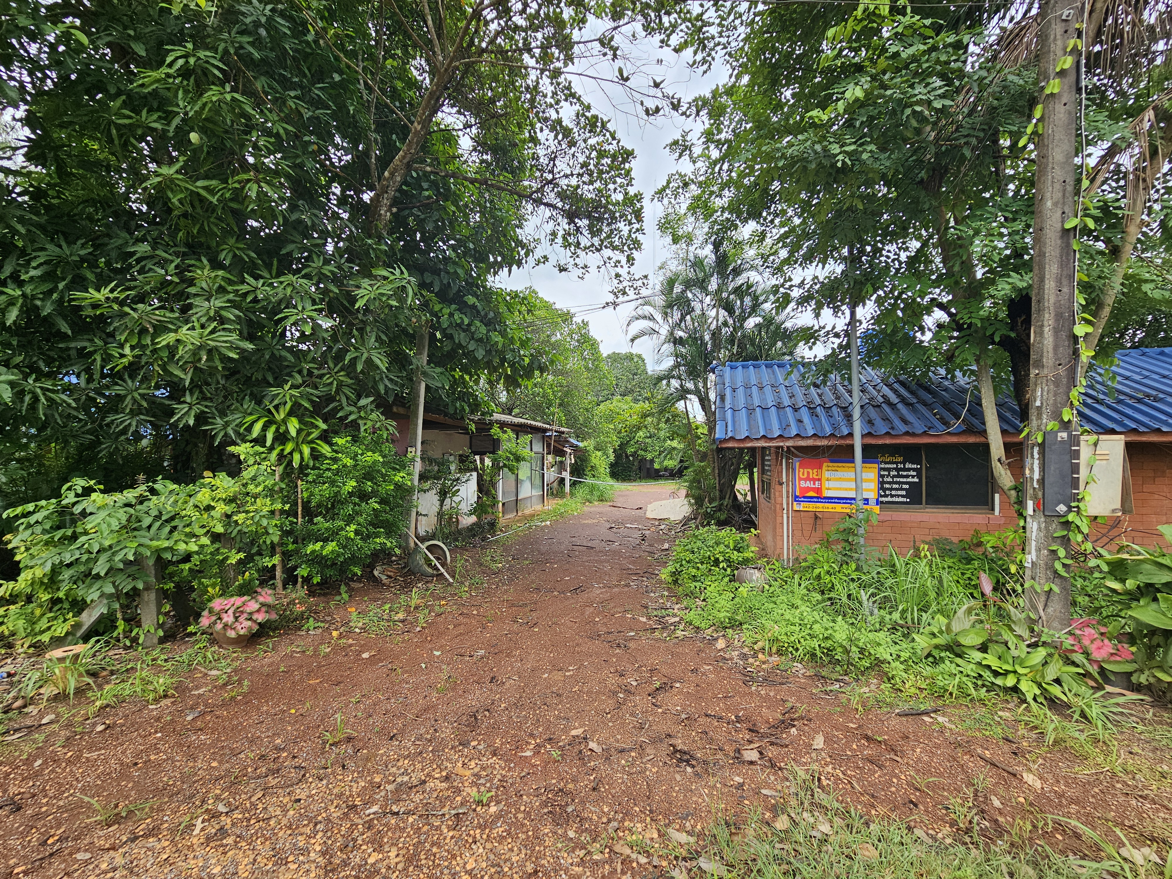 Single House for Sale in Kham Ta Kla, Sakon Nakhon