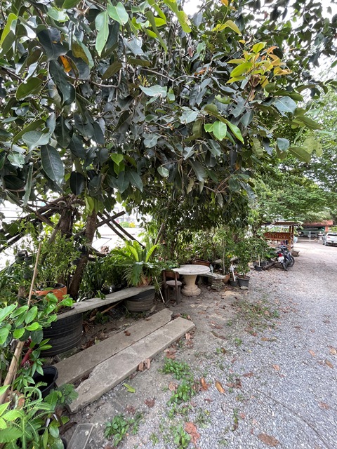 บ้านเดี่ยว โครงการบูรพาวิลล่า 12 ดอนเมือง
