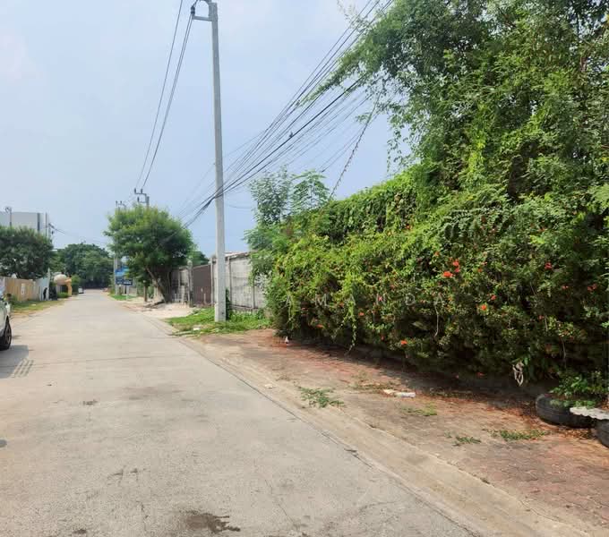 ขายที่ดิน ลาซาล 75 (สุขุมวิท 105), Bangkok