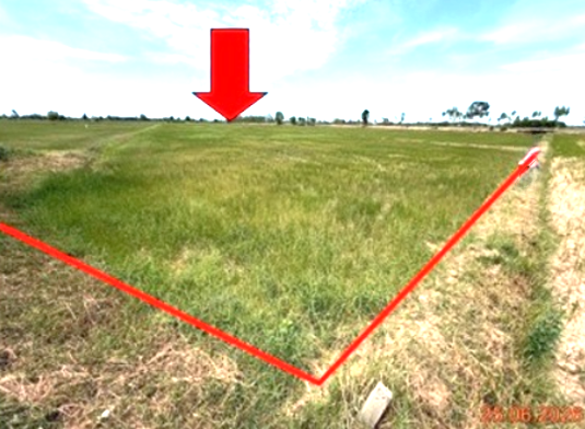 Vacant Land, Chumphon Buri, Surin Province