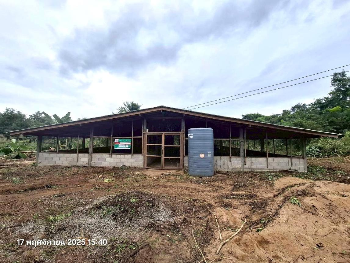 Multipurpose Hodd Chiang Mai