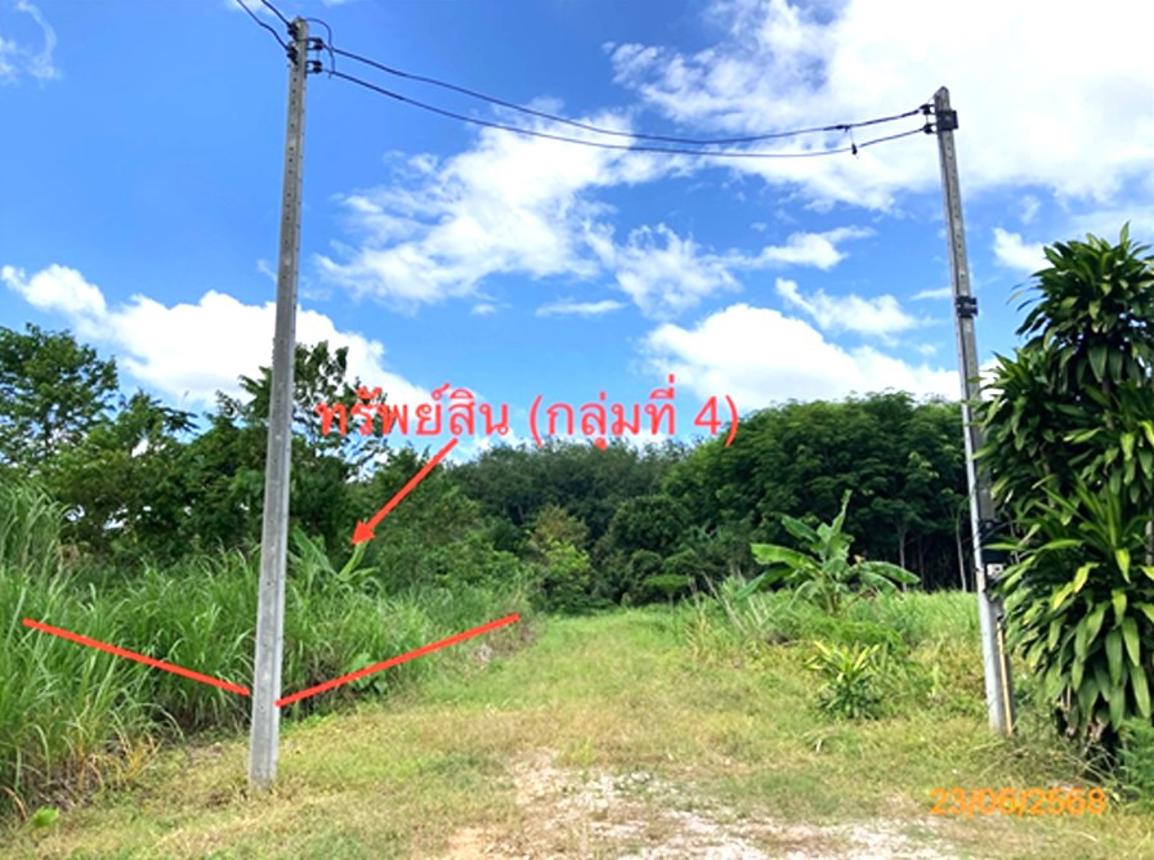ที่ดินว่างเปล่า ชัยบุรี สุราษฎร์ธานี