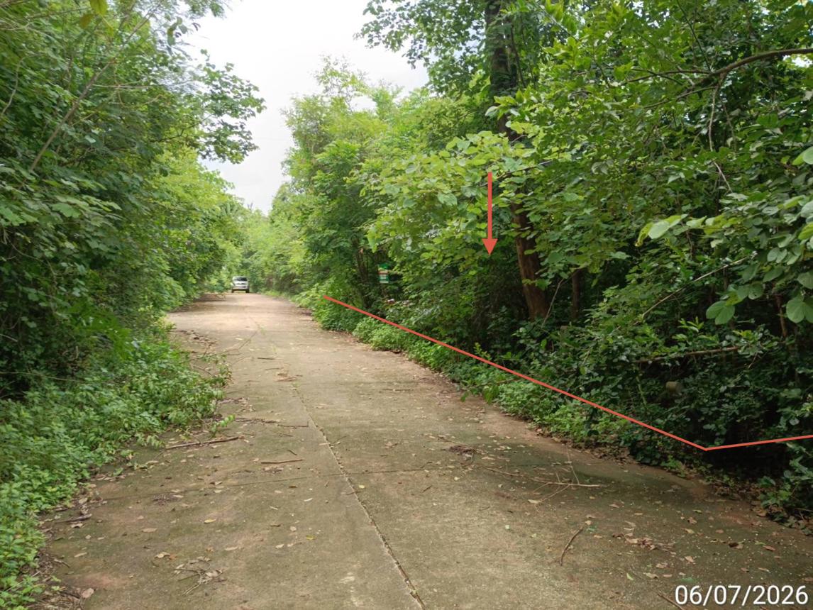 ที่ดินว่างเปล่า เขาค้อแกรนด์วิลล์ เมืองเพชรบูรณ์ เพชรบูรณ์