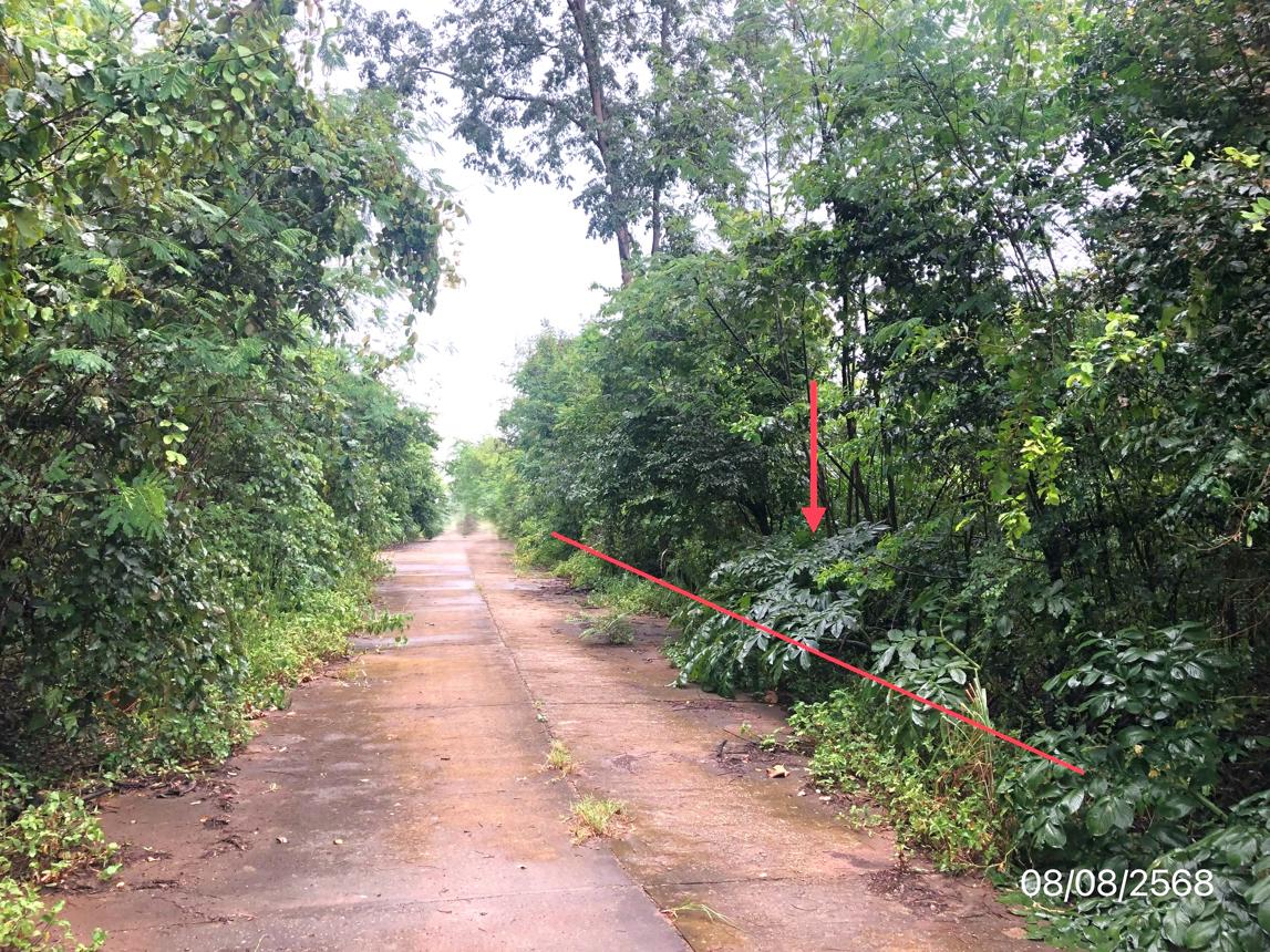 ที่ดินว่างเปล่า เขาค้อแกรนด์วิลล์ เมืองเพชรบูรณ์ เพชรบูรณ์