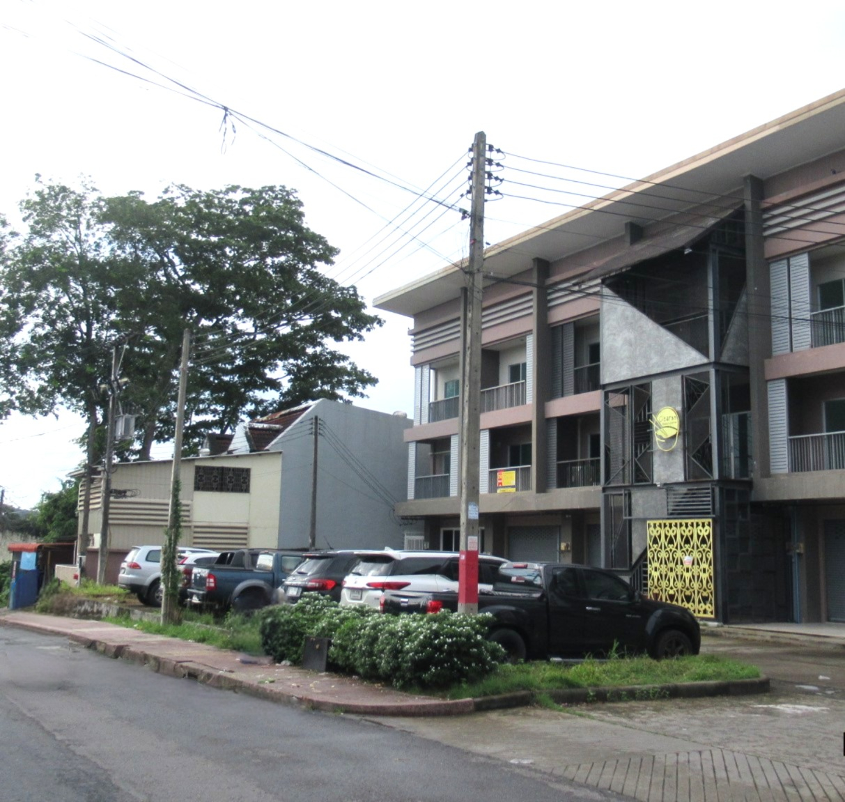 Bee Avenue Kuku