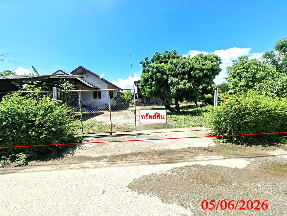 Single-Family House in San Pak Tong, Chiang Mai