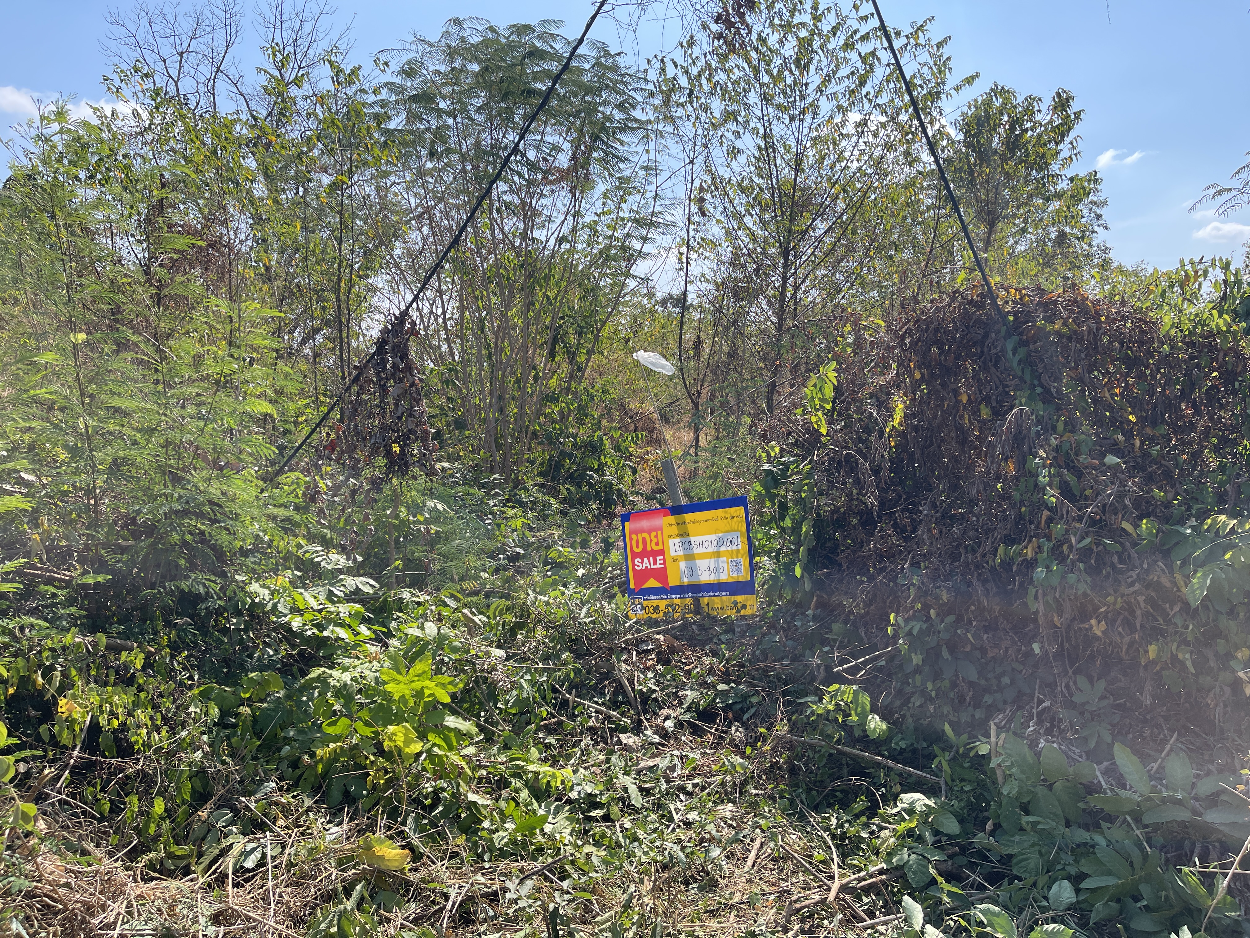 Single-Family Home in Prachinburi
