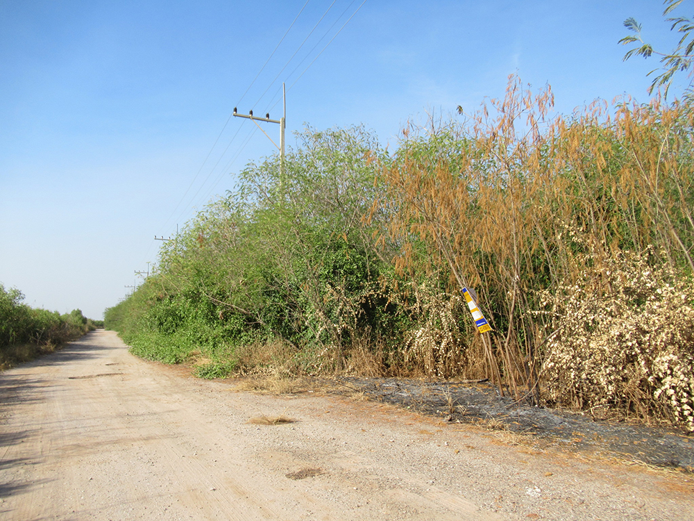 ที่ดินเปล่า โครงการเลอชาเลย์ เมืองสมุทรสาคร