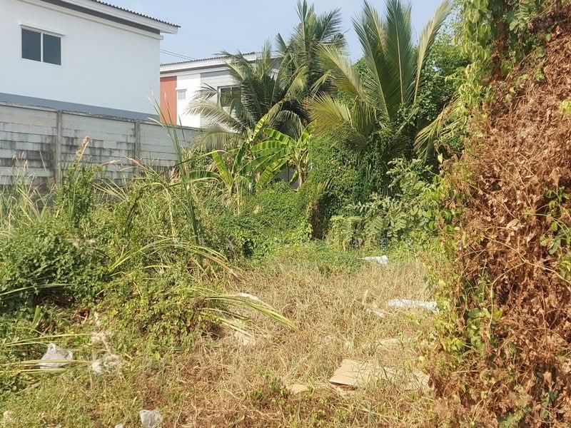 acant Land for Sale in Lam Luk Ka, Pathum Thani