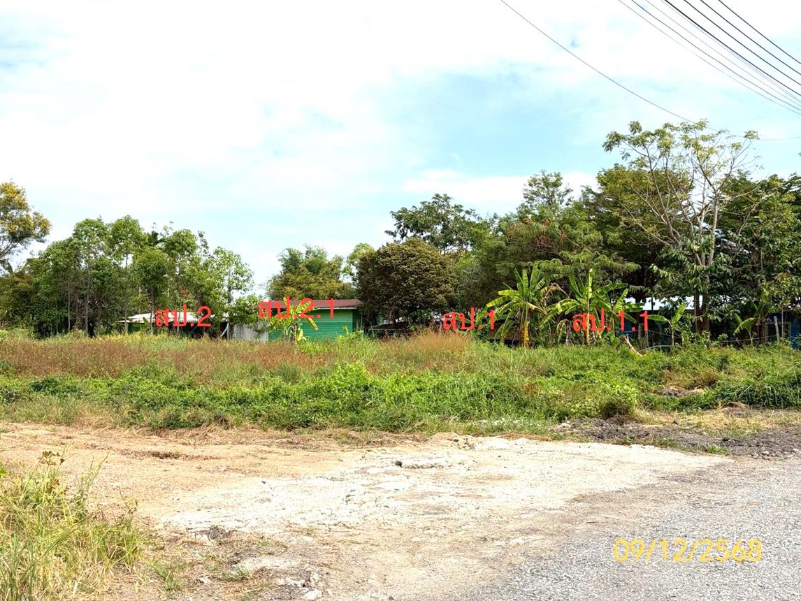 Single House Gnakgul Nong Suea Pathum Thani