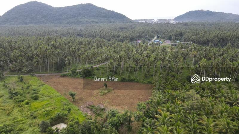 Baan Krut (Ban Grood / Thongchai / Bang Saphan), Prachuap Khiri Khan