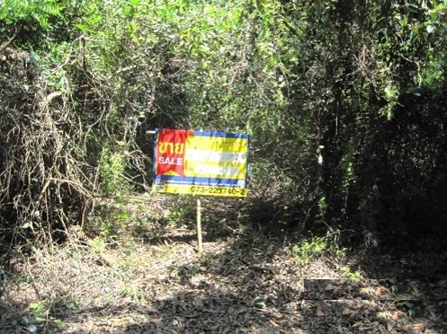 1-Plots of Vacant Land