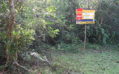 1-Plots of Vacant Land