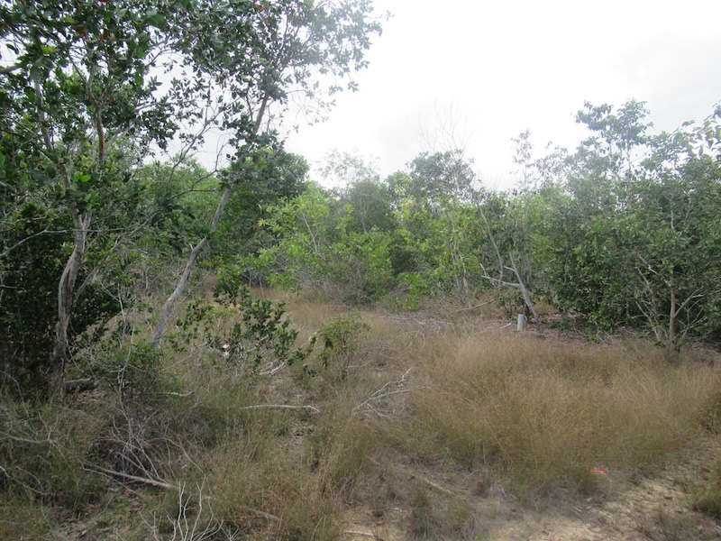 1-Plots of Vacant Land