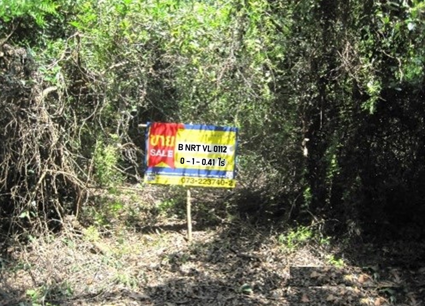 1-Plots of Vacant Land