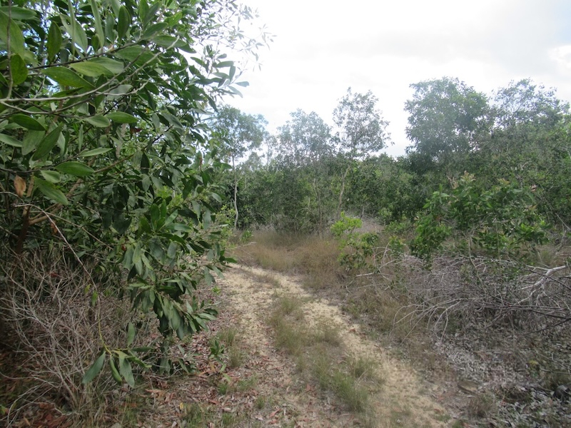 1-Plots of Vacant Land