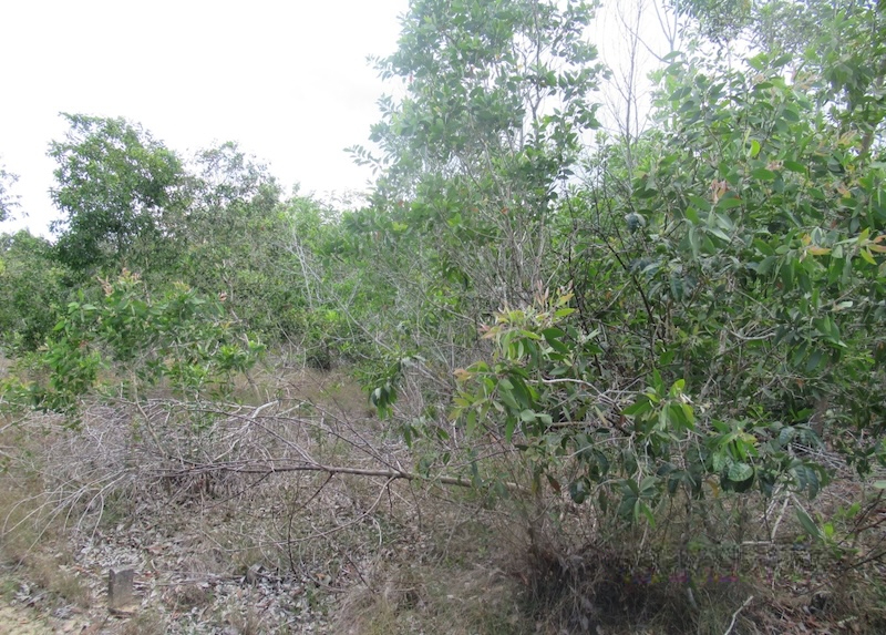 1-Plots of Vacant Land