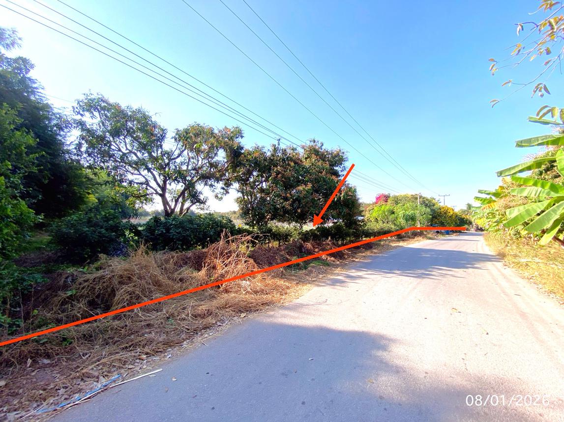 Vacant Land, Pak Tho, Ratchaburi