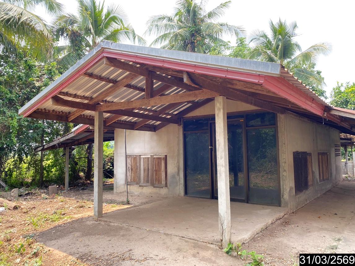 Single House in Phon Phisai, Nong Khai