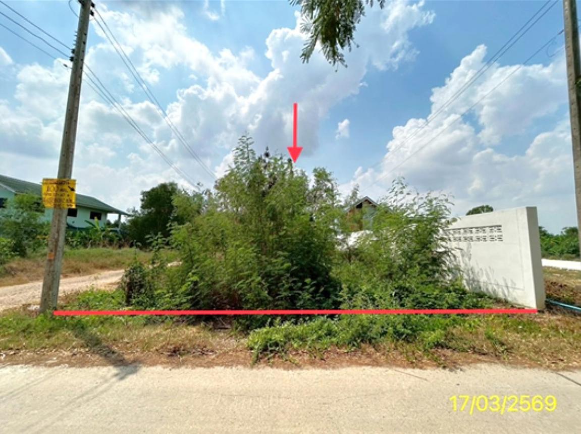 Empty Land for Sale in Klong Luang, Pathum Thani.