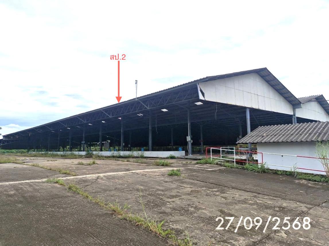 Industrial Building, Singha, Trang