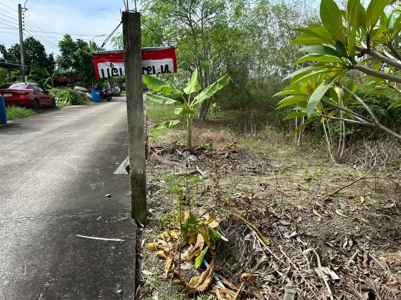 บางม่วง, Nonthaburi