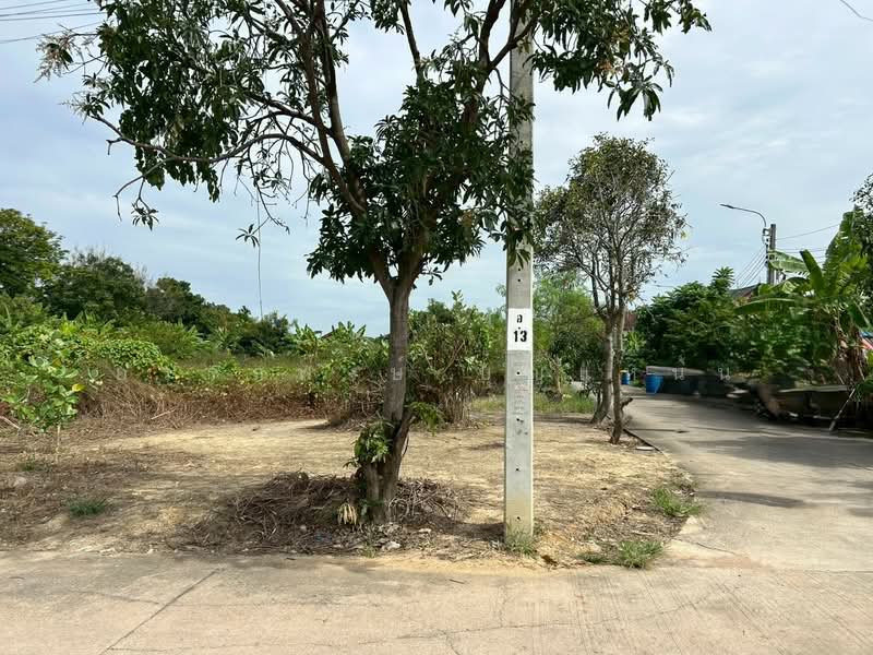 บางม่วง, Nonthaburi