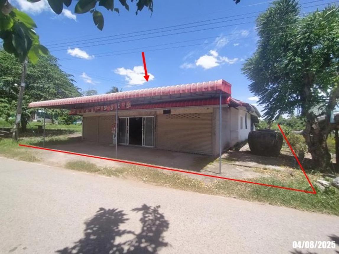 Single House Sri Bunreung Nong Bua Lamphu