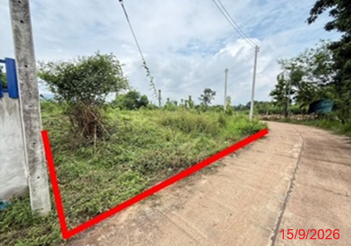 ที่ดินว่างเปล่า หนองไผ่ เพชรบูรณ์