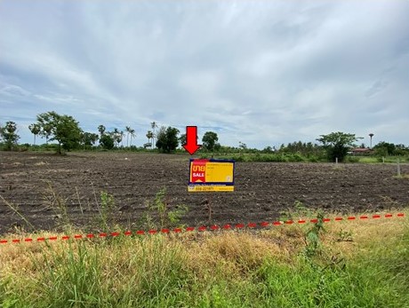 Empty Land in Lopburi