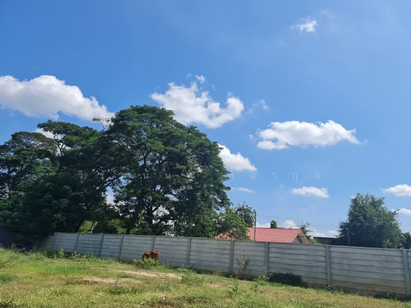 บ้านโป่ง, Ratchaburi