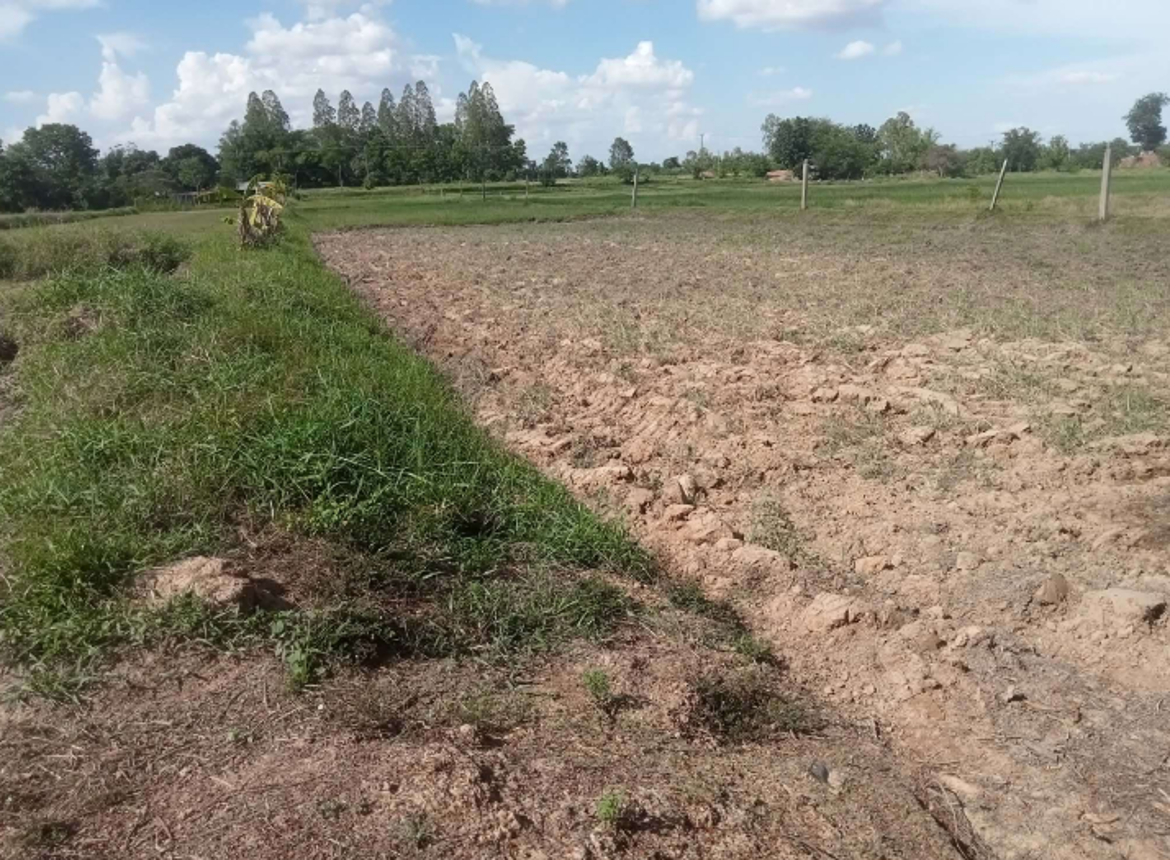 Empty Land for Sale in Kumphawapi, Udon Thani