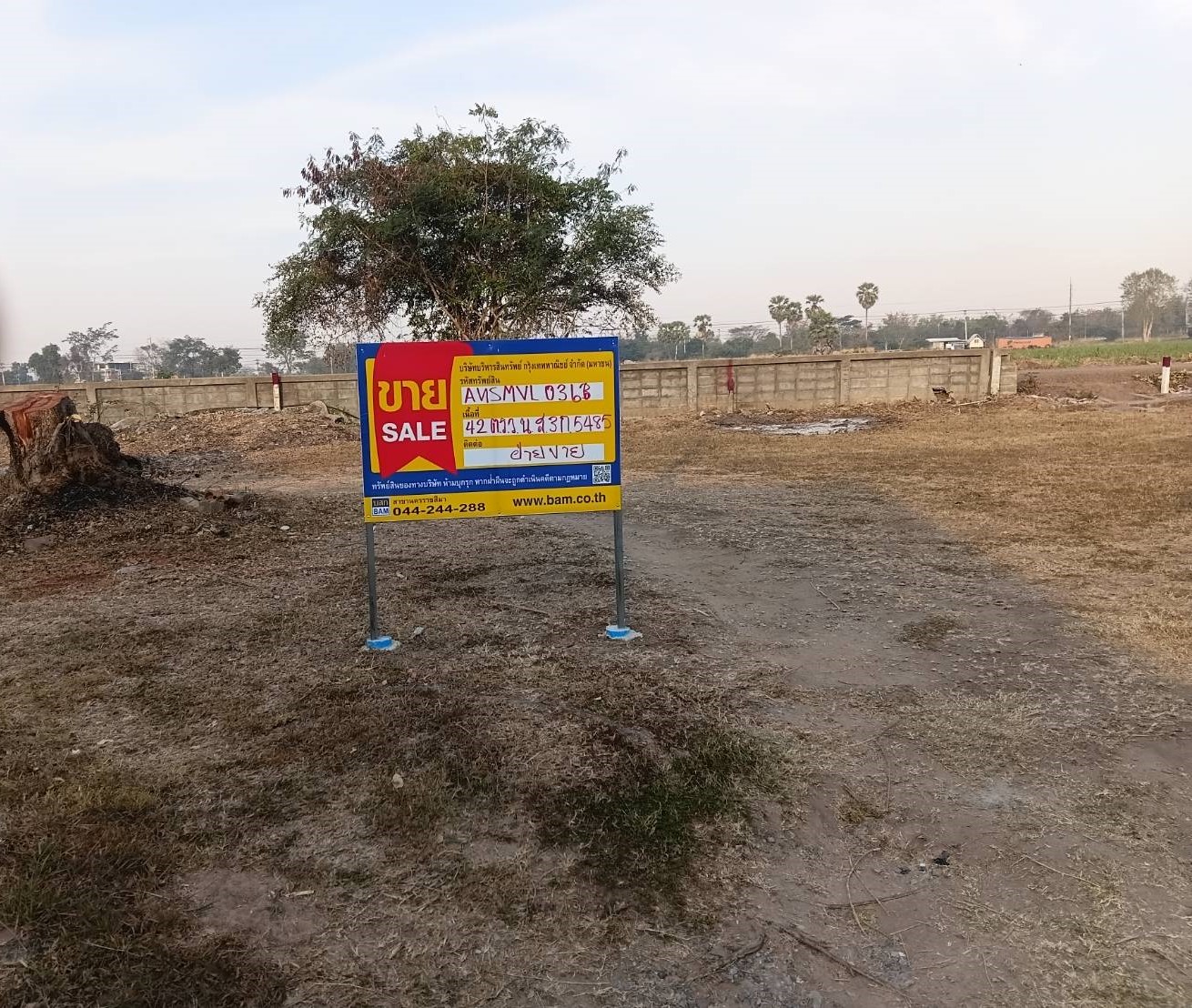 Empty land, Ing Thar Project, Nakhon Ratchasima