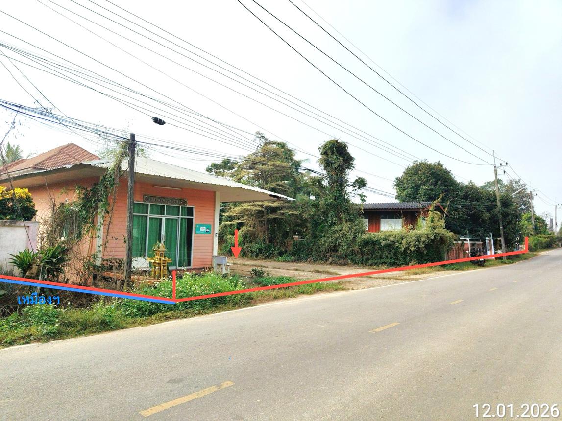 Single-Family House in Vieng Sa, Nan Province