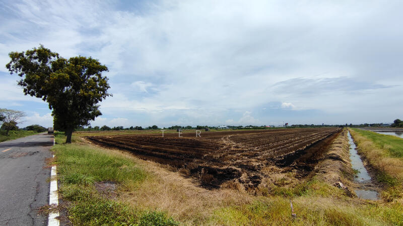 ที่ดินเปล่า 10 ไร่ คลอง 5 ฝั่งตะวันออก, Pathum Thani