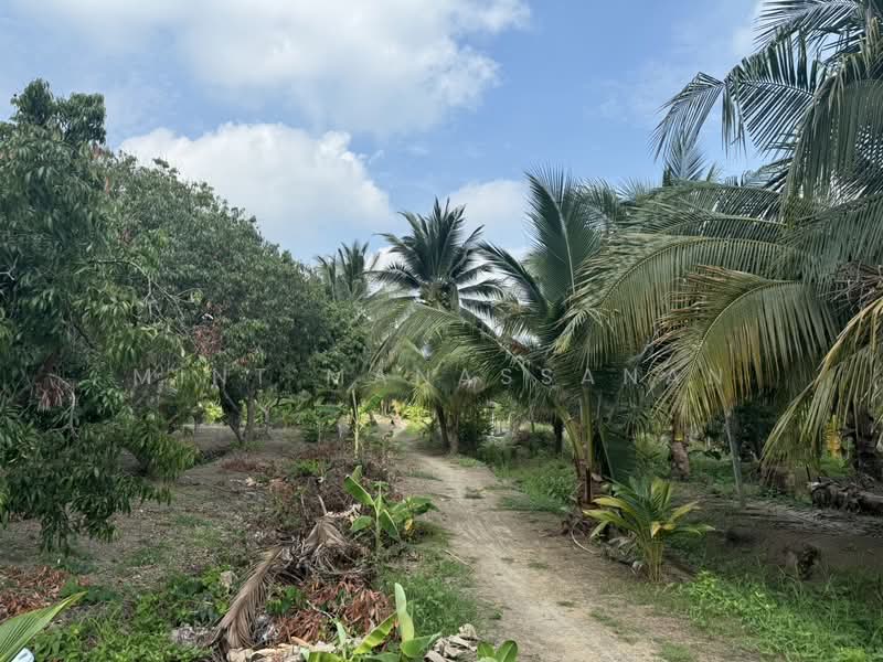 For Sale: Riverside Land – Near Wat Bang Kung, Samut Songkhram, Samut Songkhram