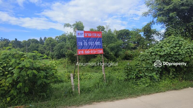 ที่ดินราคาถูก ในพื้นที่ชุมชน แหล่งท่องเที่ยว พื้นที่ชุมชนเมือง ผังเมืองสีชมพู, Chiang Rai