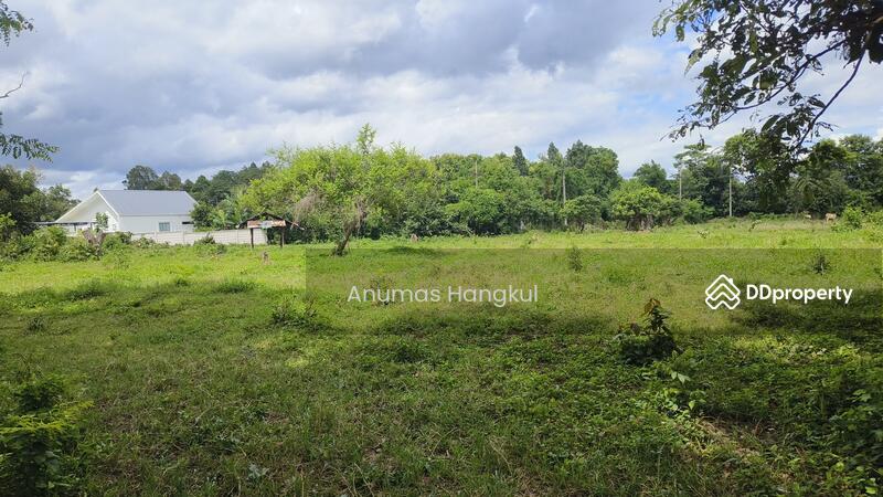 ที่ดินราคาถูก ในพื้นที่ชุมชน แหล่งท่องเที่ยว พื้นที่ชุมชนเมือง ผังเมืองสีชมพู, Chiang Rai