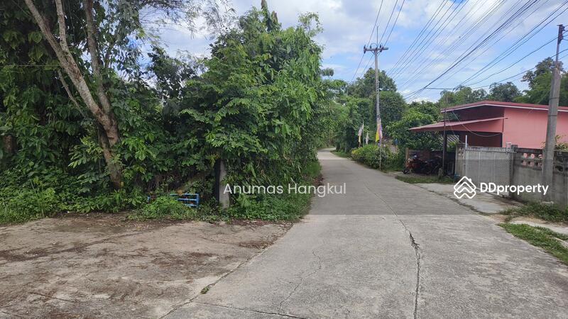 ที่ดินราคาถูก ในพื้นที่ชุมชน แหล่งท่องเที่ยว พื้นที่ชุมชนเมือง ผังเมืองสีชมพู, Chiang Rai