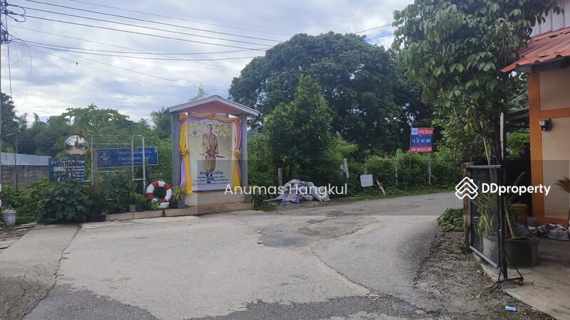 ที่ดินราคาถูก ในพื้นที่ชุมชน แหล่งท่องเที่ยว พื้นที่ชุมชนเมือง ผังเมืองสีชมพู, Chiang Rai