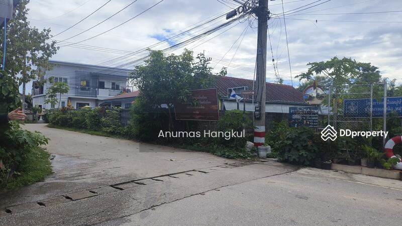 ที่ดินราคาถูก ในพื้นที่ชุมชน แหล่งท่องเที่ยว พื้นที่ชุมชนเมือง ผังเมืองสีชมพู, Chiang Rai