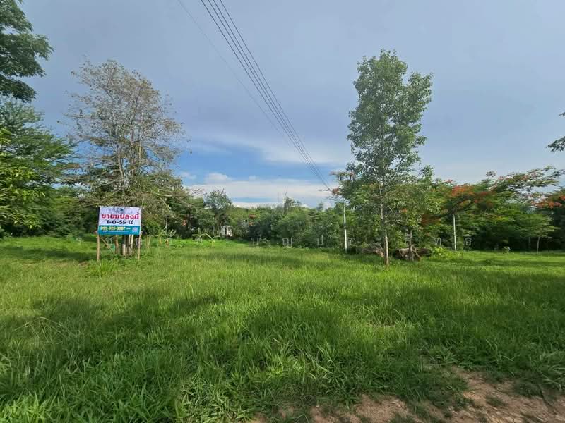 ขายที่ดินเปล่า โครงการ ภูริพิมานต.ปากช่อง อ.ปากช่อง จ.นครราชสีมา, Nakhon Ratchasima